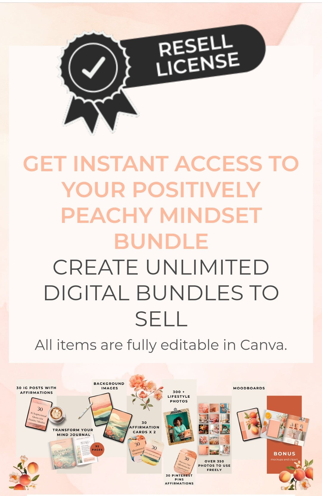 POSITIVE MINDSET JOURNAL BUNDLE WITH PLR